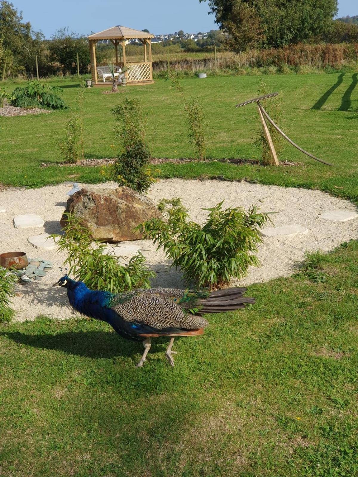 La Ferme De Lec'H Hameury Bed & Breakfast Plestin-les-Greves Exterior photo